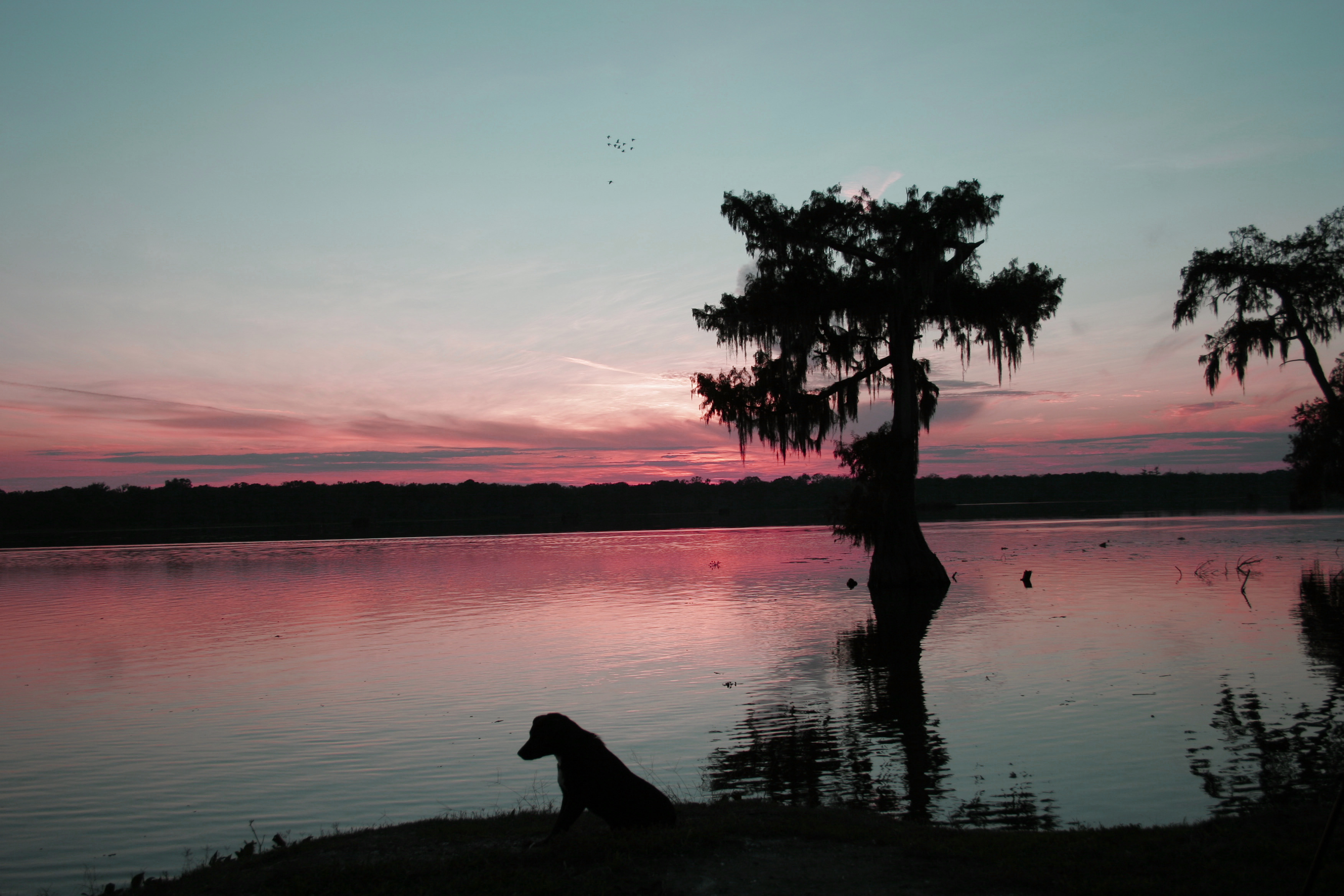 Lake Martin Twilight Shutterbug