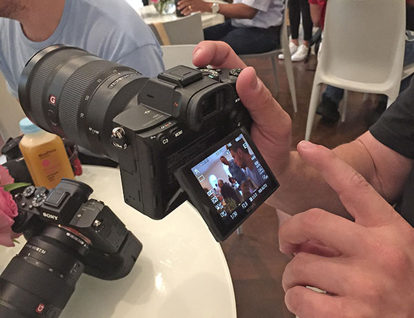 Sony A7 Mark IV Camera Review, Sans Mirror
