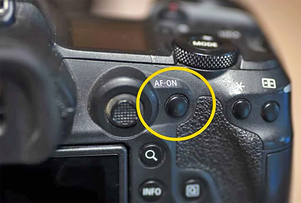 Back-Button Focusing: All You Need to Know