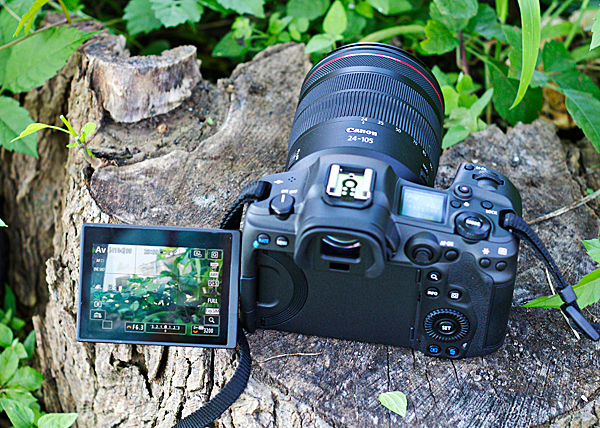 Hands-on with the Canon EOS R5: Digital Photography Review