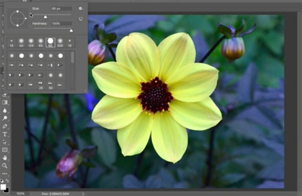 how-to-work-with-brush-tools-in-photoshop-video-shutterbug