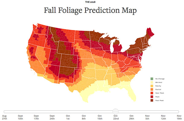 This Interactive Map Shows You The Best Days For Photographing Fall 