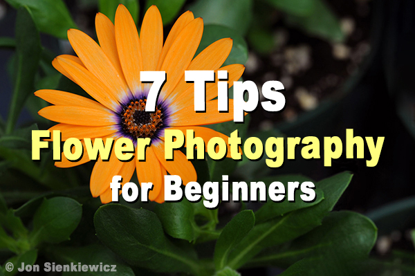 7 Flower Photography Tips For Beginners | Shutterbug