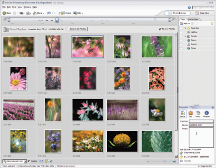adobe photoshop elements 3.0 download windows 7