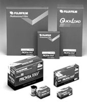 Polaroid Color 600 Film - Pack of 8 Sheet - Shutterbug Camera Shop