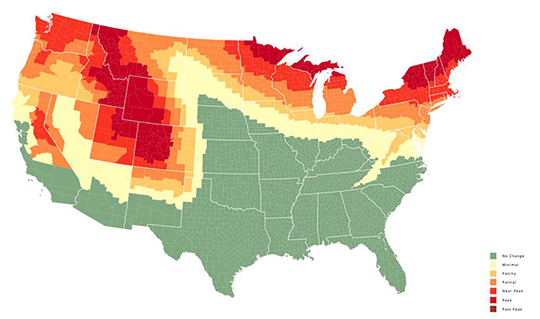 Fall Photography Tips: Here's When Autumn Foliage Reaches Peak Color in ...