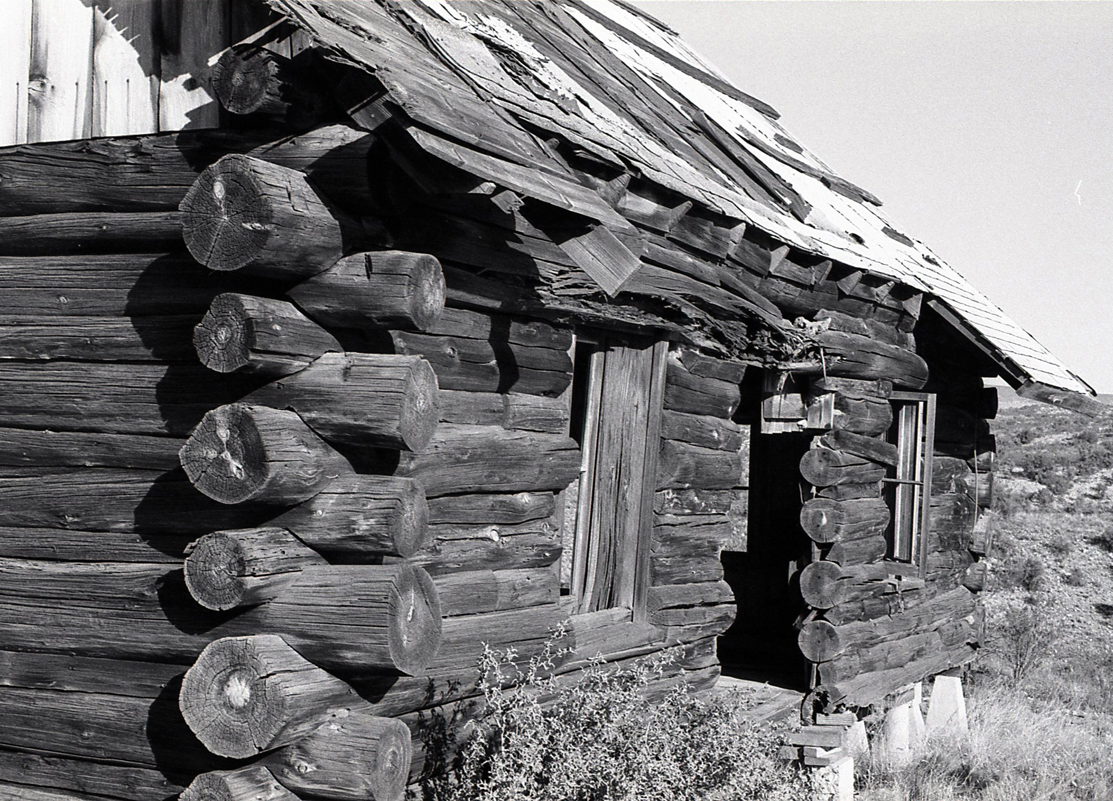 Old Log Cabin Shutterbug