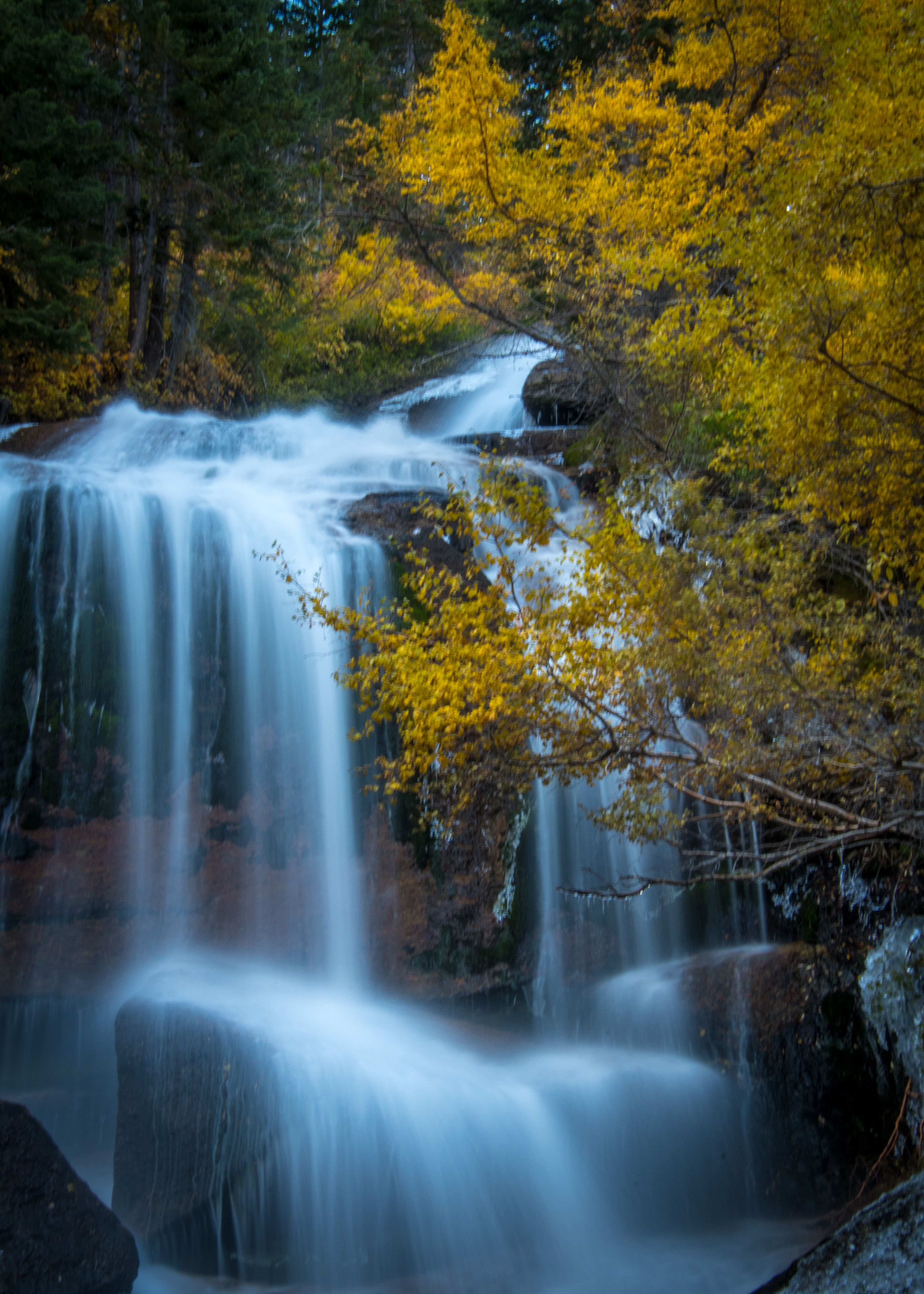 Autumn falls. Autumn Falls autumn Falls. Autumn Falls актриса. Autumn Falls Vixen.