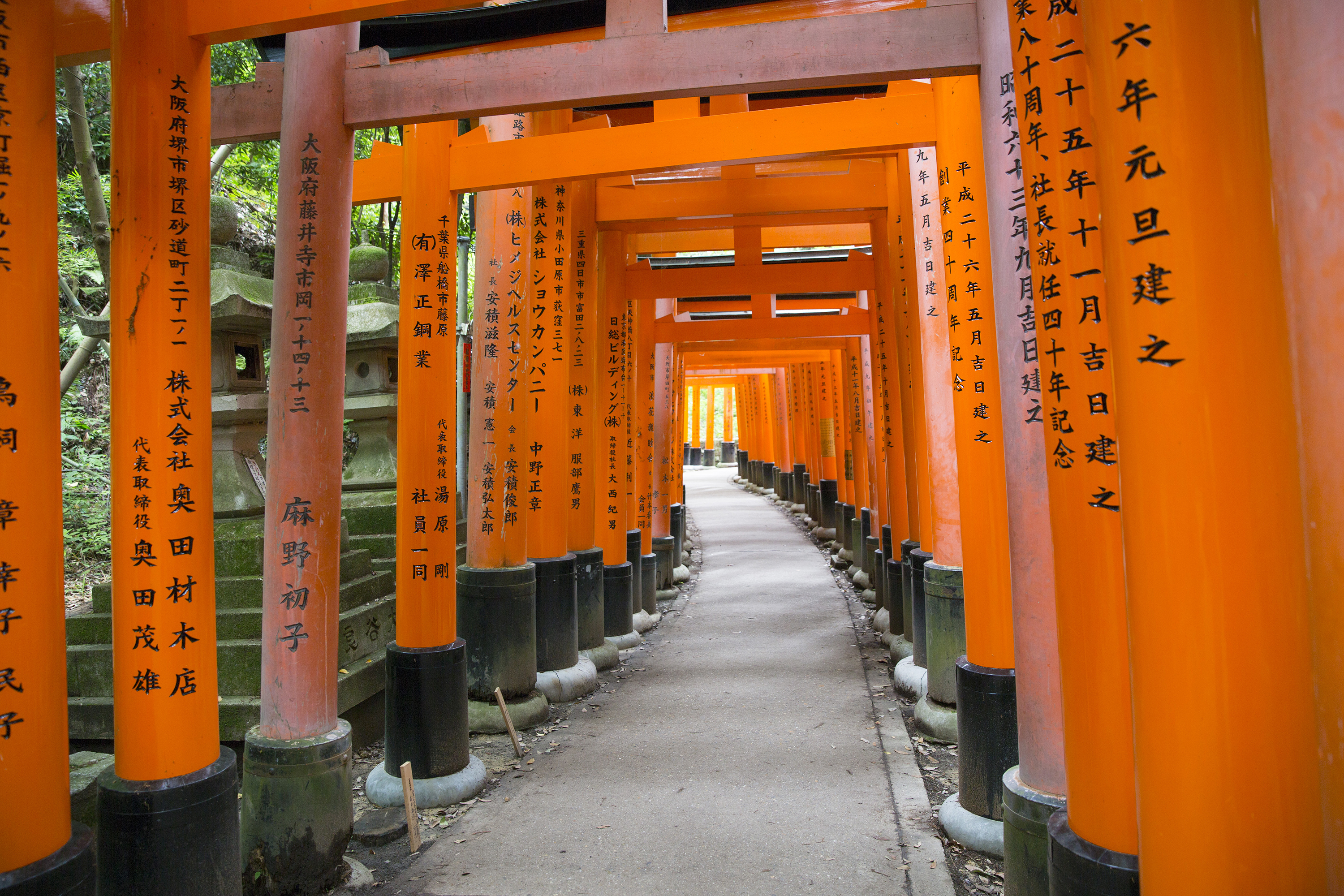 Fushimi Inari Shrine Kyoto Shutterbug