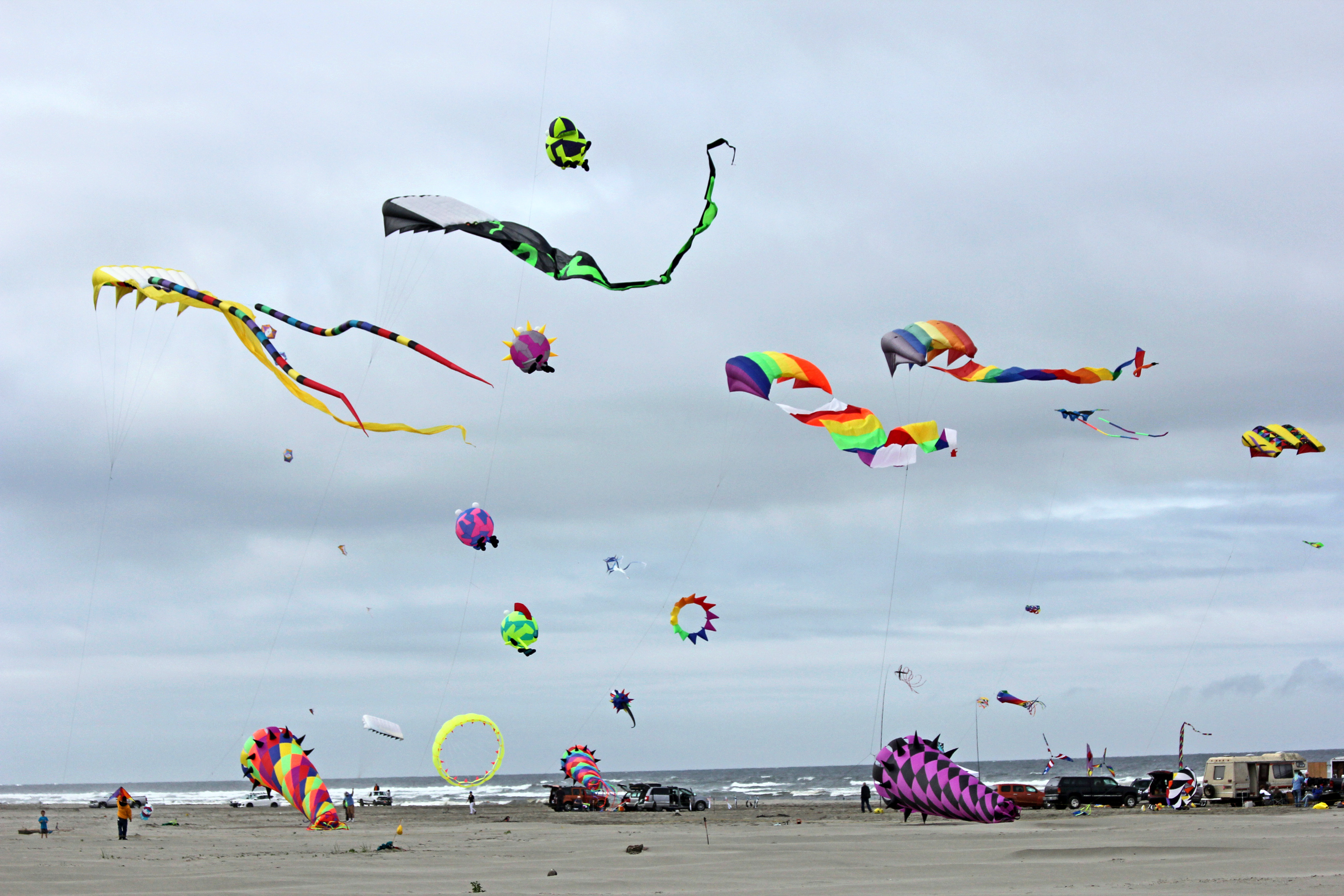 They are flying a kite she напиши по образцу