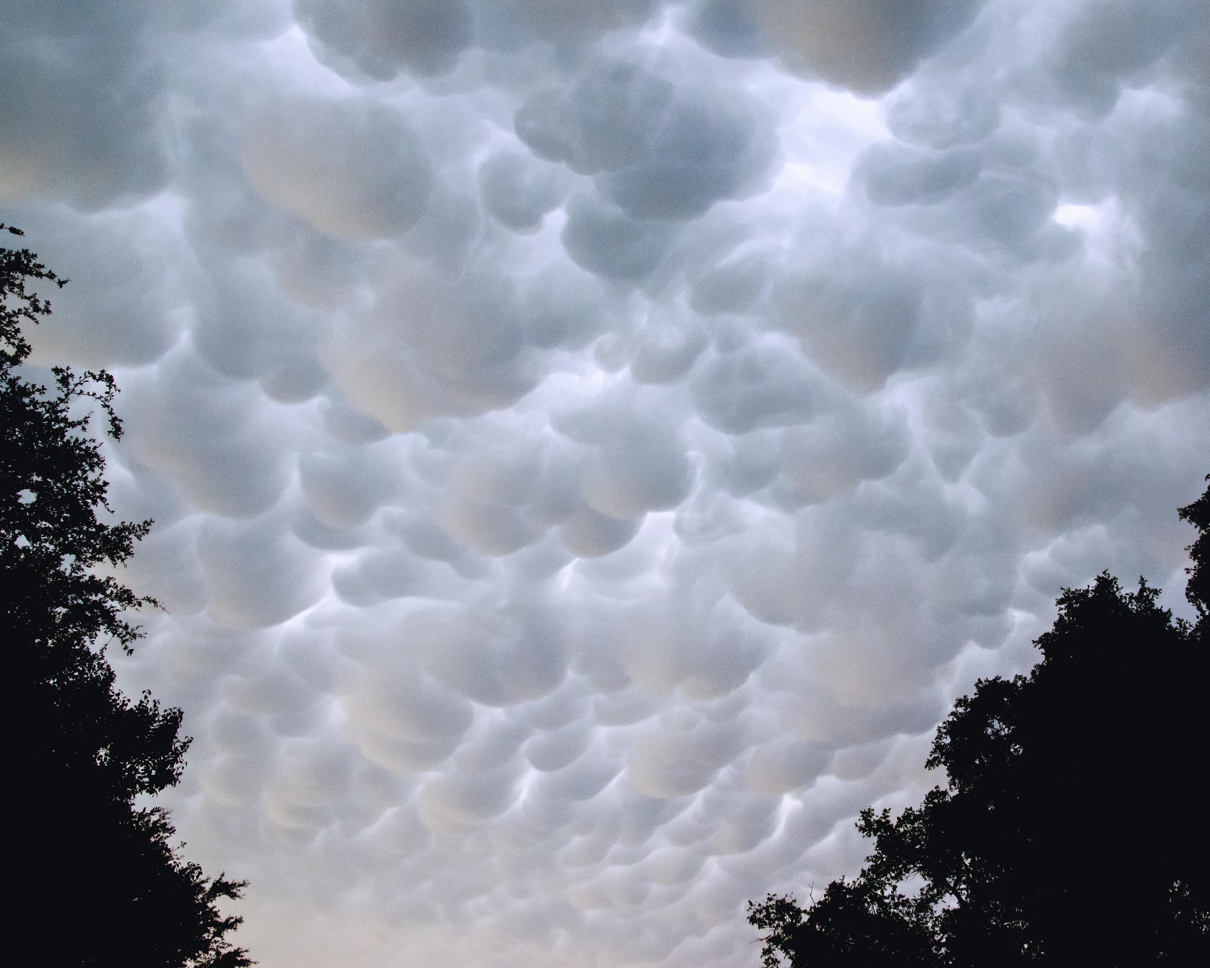 Chamallow Clouds