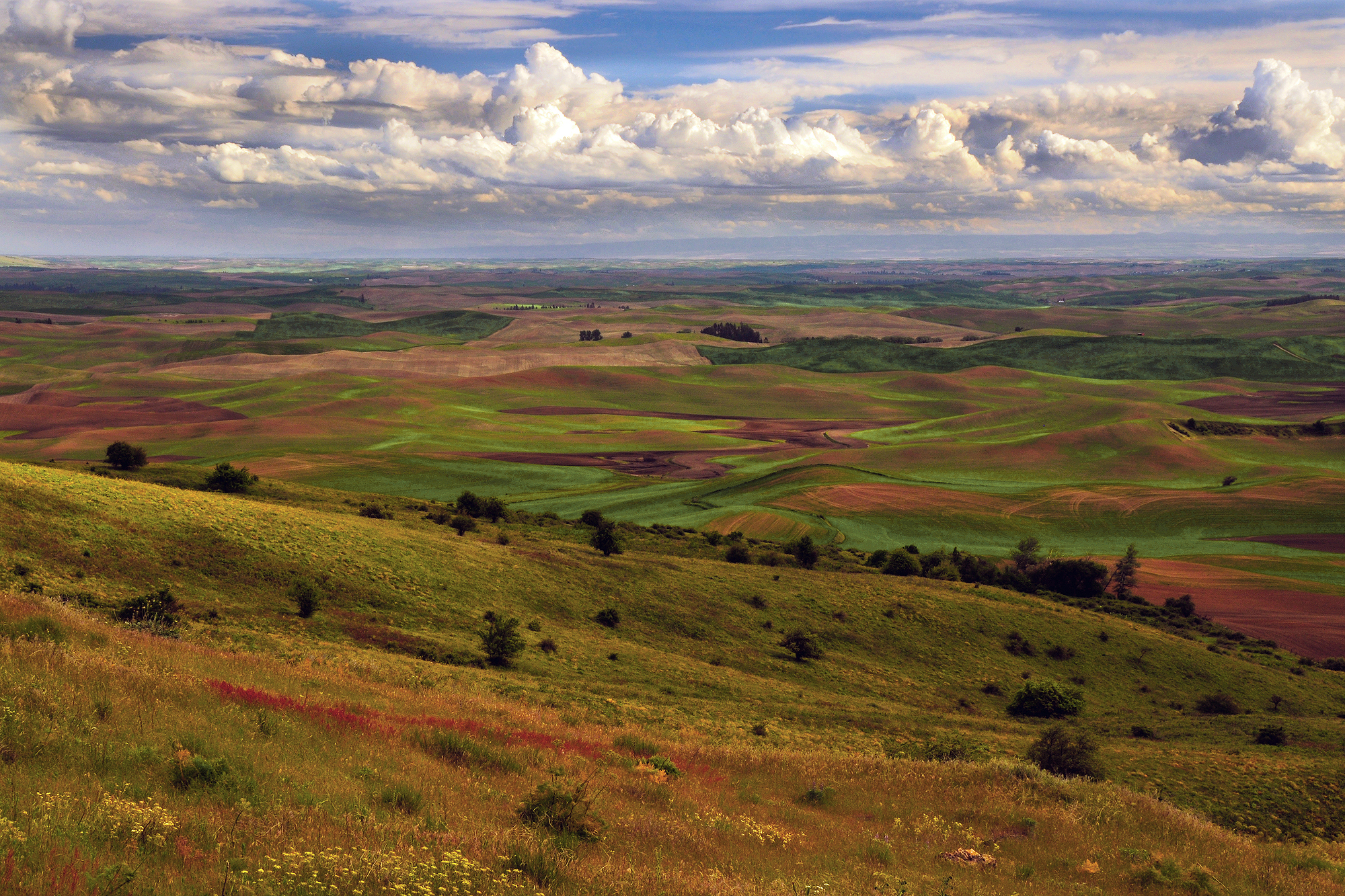 The Palouse from Steptoe Butte | Shutterbug