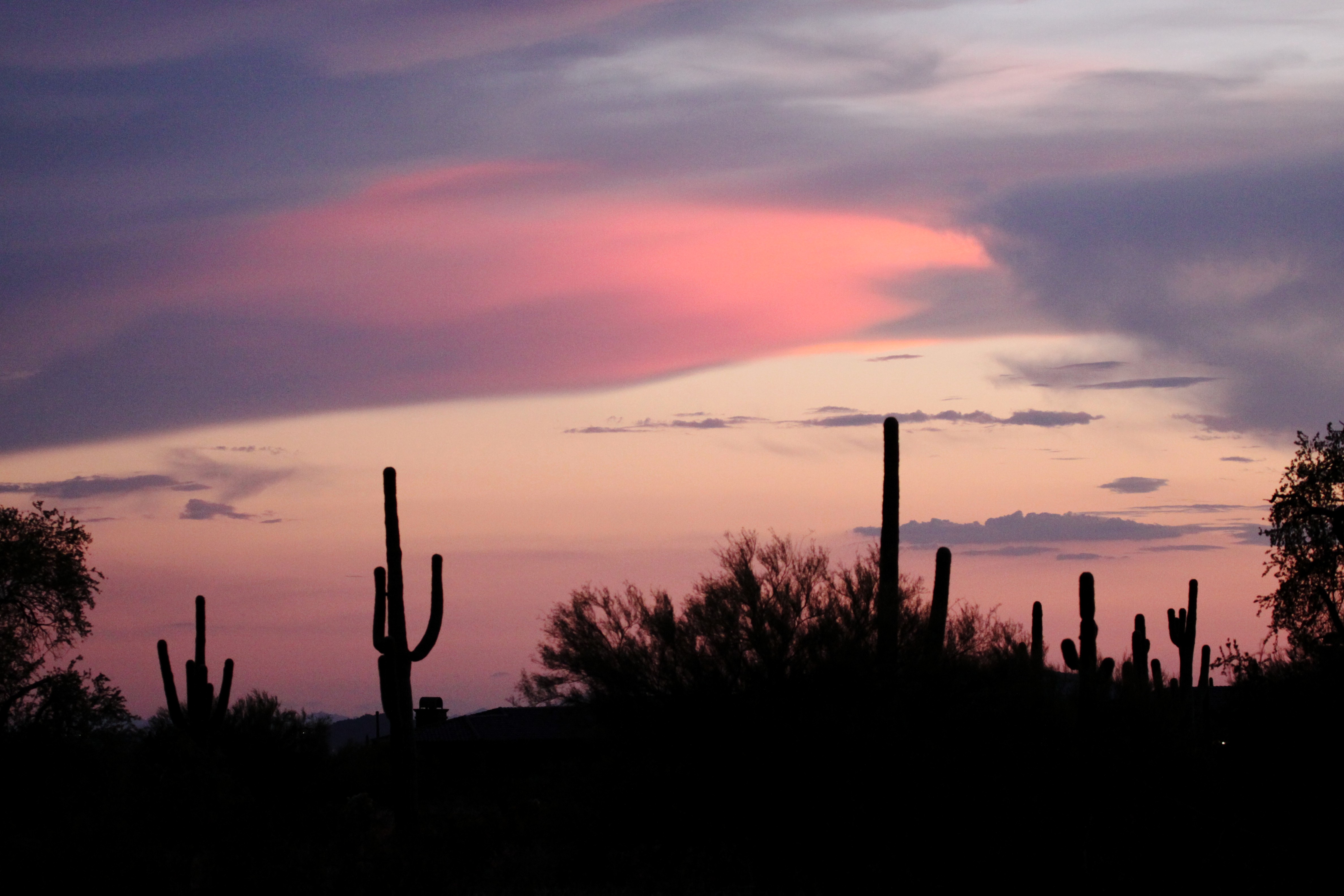 Arizona sky фото слив