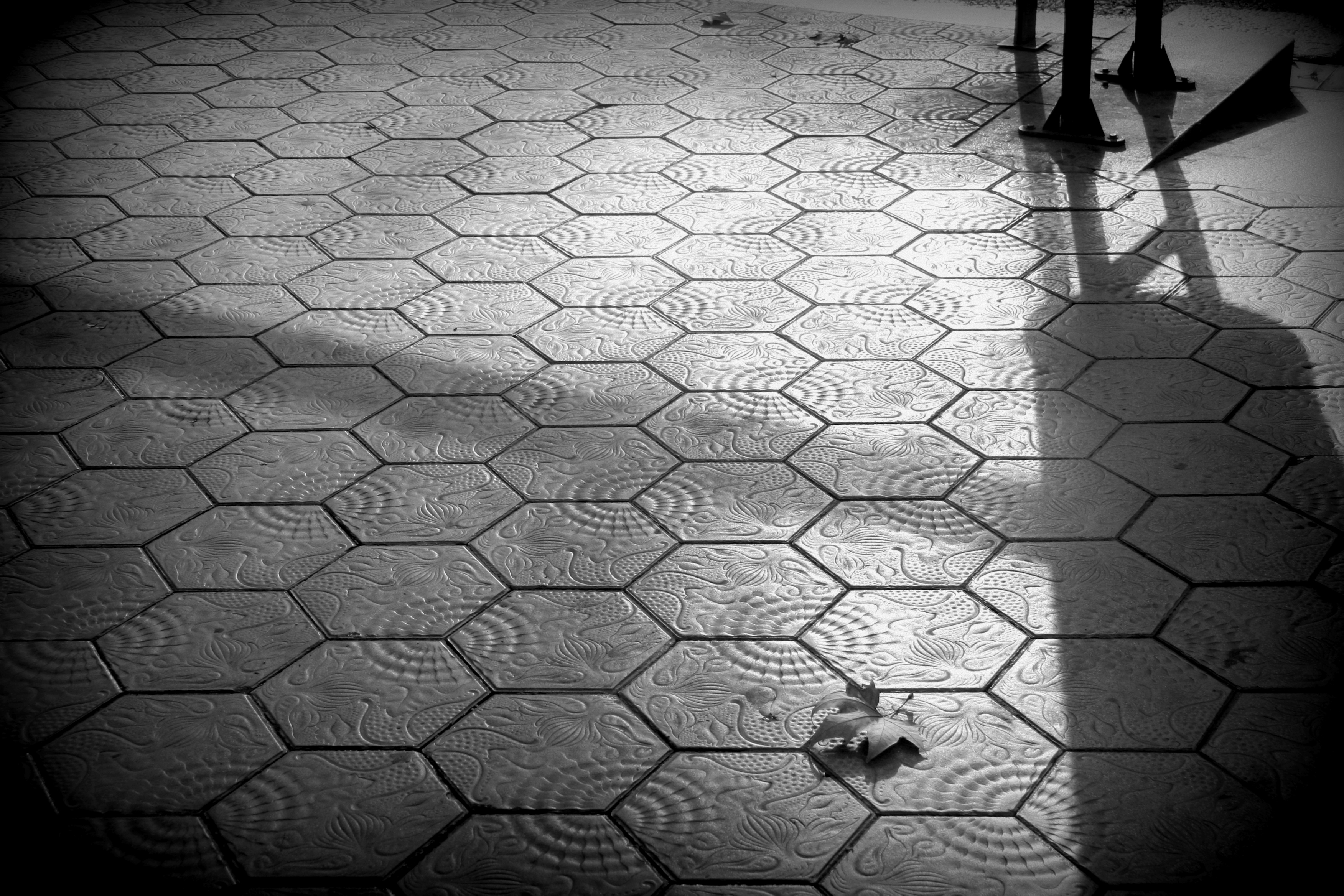 Sidewalk by Gaudi | Shutterbug