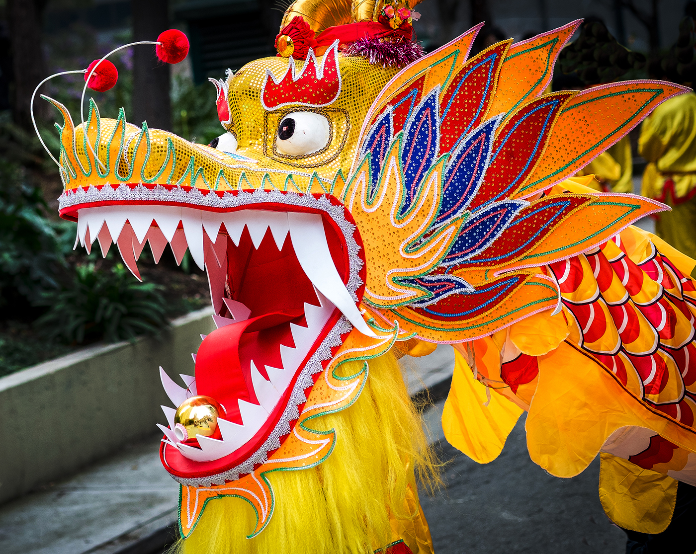Chinese New Year Dragon Parade 