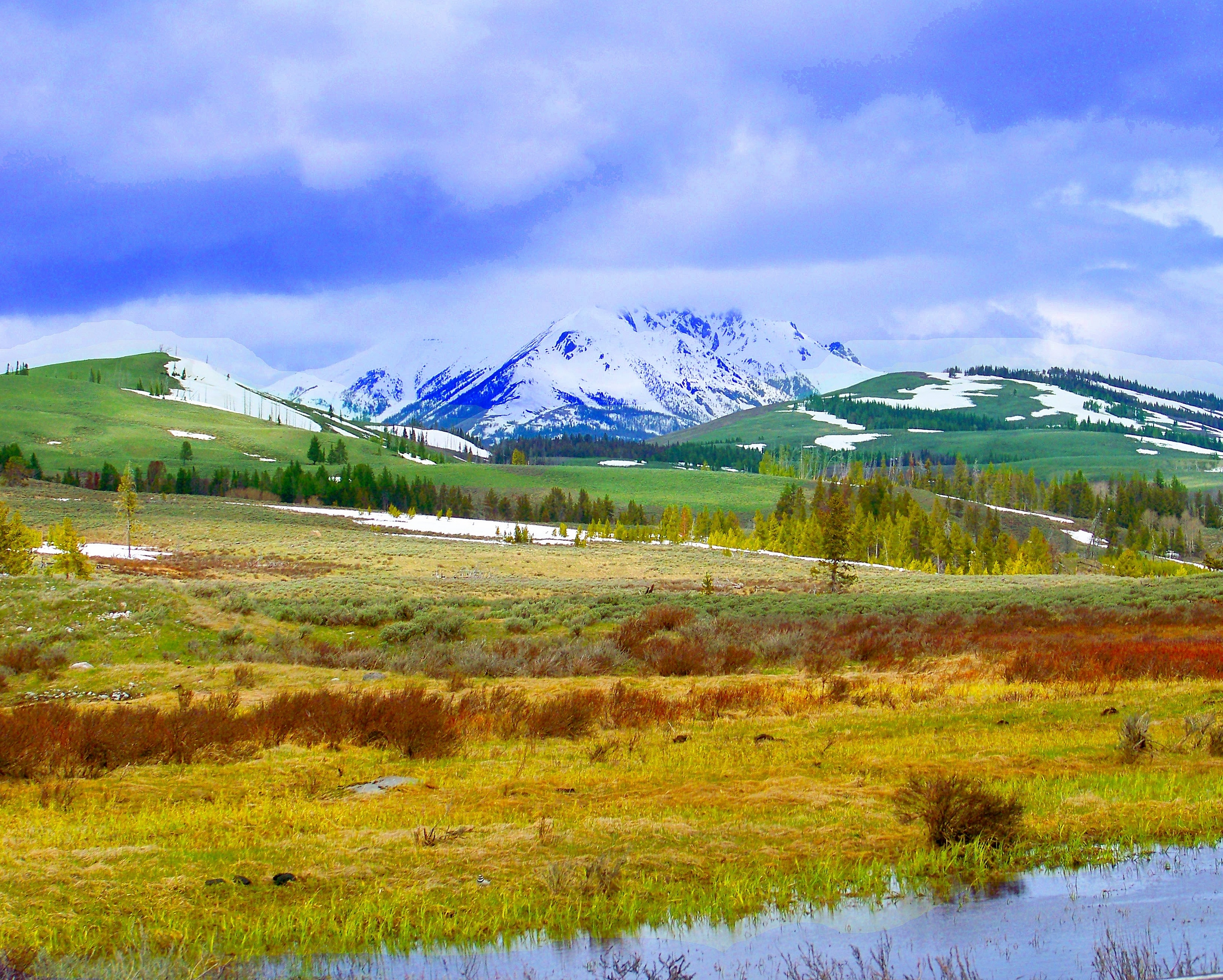 Yellowstone In June 