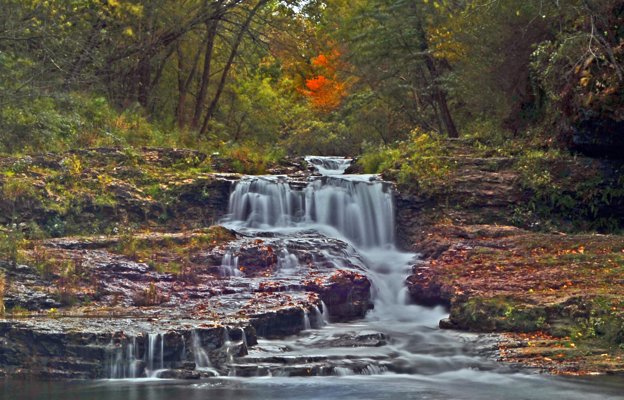 River Falls WI Shutterbug