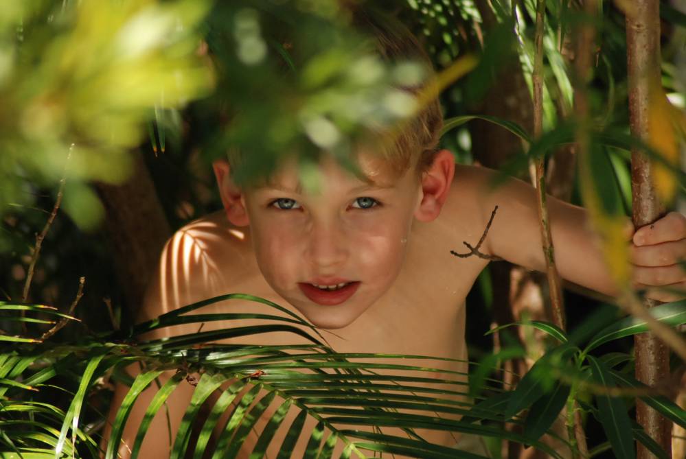 Jungle Boy Shutterbug 7314