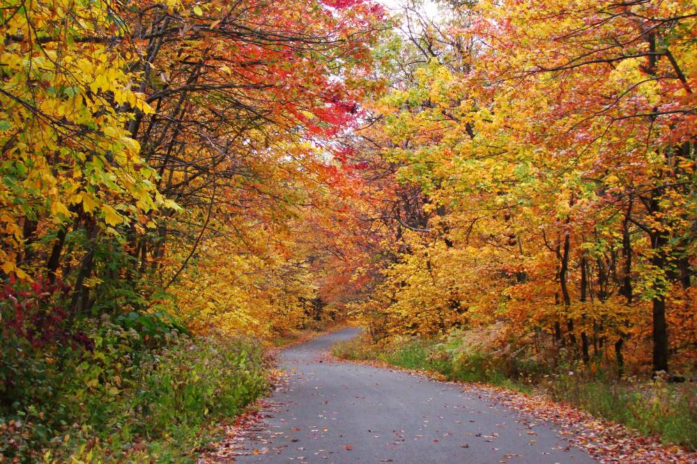 Autumn on Skyline Drive - 10-14-2008 | Shutterbug