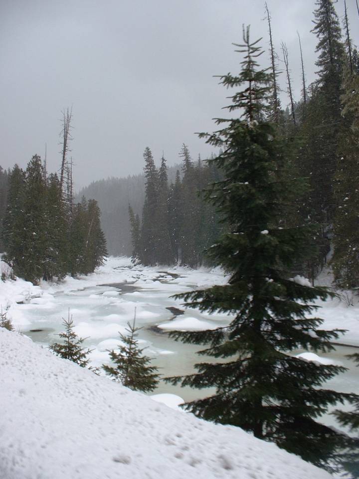 White Pass Winter Shutterbug