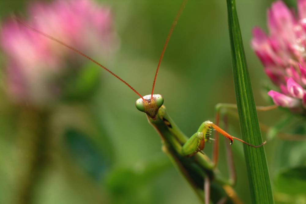 keeping-an-eye-on-you-shutterbug