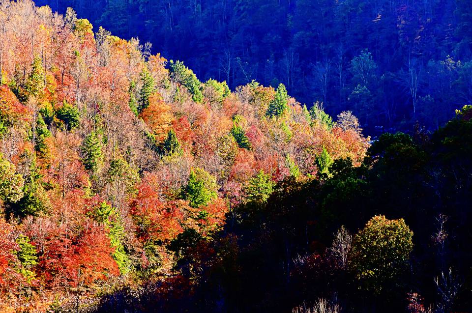 Fall Color of West Virginia Shutterbug