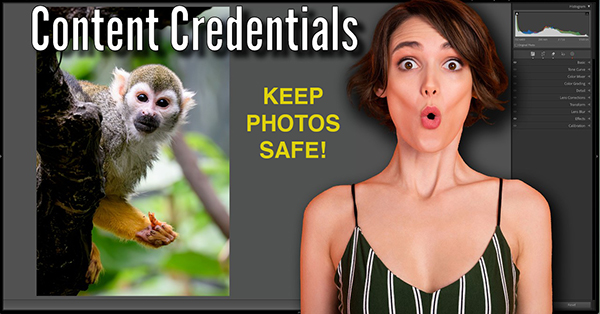 Protect Photos with Content Credentials Tools in Lightroom (VIDEO)