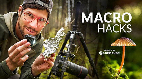 7 Fun Macro Photography Hacks in Just 90 Seconds (VIDEO) | Shutterbug