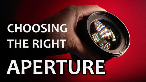 Using Aperture & Depth of Field for EPIC Nature & Wildlife Photos (VIDEO)