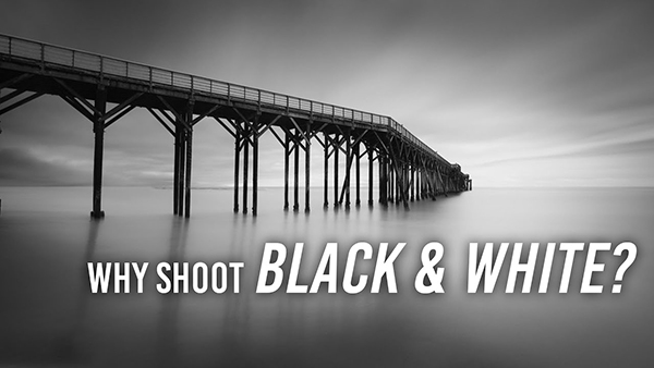 Why You Should Shoot B&W And How To Do It Right (VIDEO) | Shutterbug