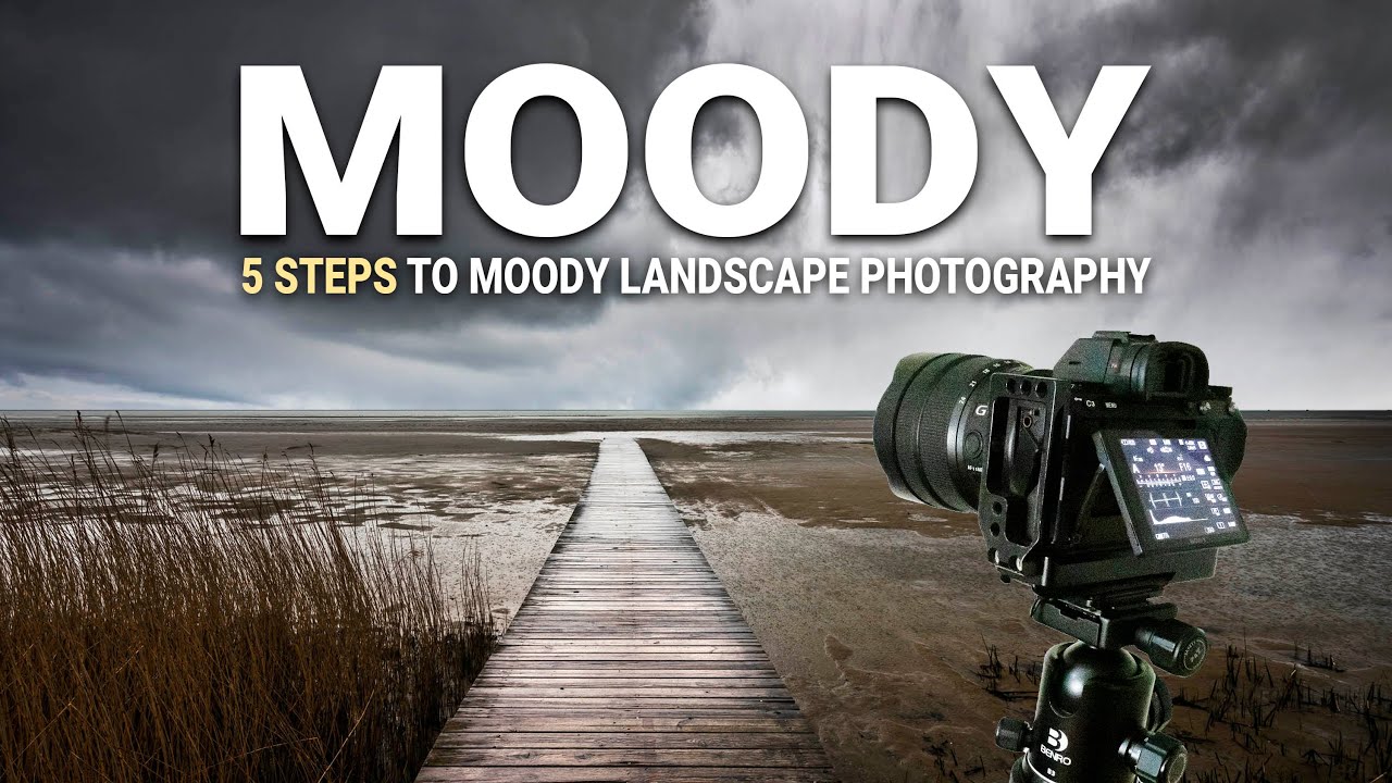 Expert tips on capturing moody, misty mountain photos - 500px