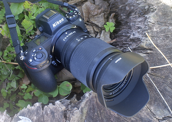 Nikon Z7 review: Versatile allrounder