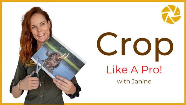 How To Crop Photos For Maximum Impact There S More To It Than You   Crop12121 