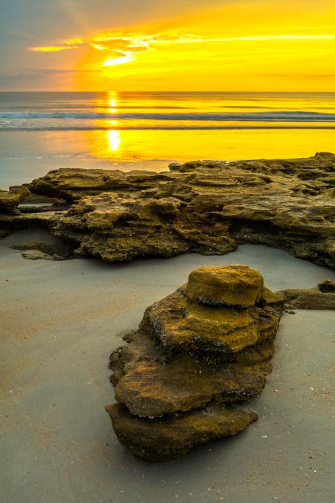 Sunrise At Washington Oaks State Park Shutterbug