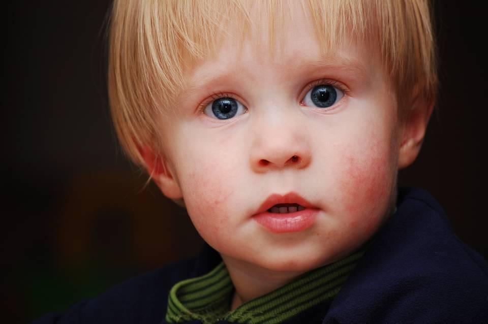 18 Month Old Boy Portrait Shutterbug